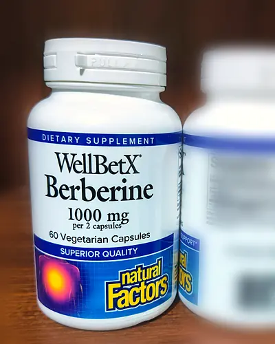 WellBetX Berberine 1,000 mg by Natural Factors